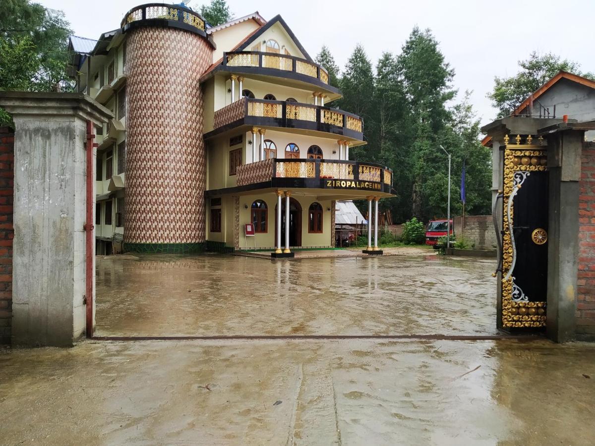 Ziro Palace Inn - A Boutique Hotel Hāpoli Zewnętrze zdjęcie